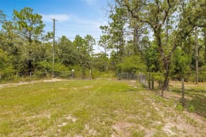 6561 SHORT POINT, HOMOSASSA, FL 34446 - MLS#MFRTB8426137