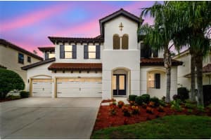 2713 CALVANO DRIVE, LAND O LAKES, FL 34639 - MLS#MFRTB8426138