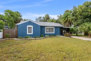 806 IDLEWILD AVENUE, TAMPA, FL 33604 - MLS#MFRTB8426142