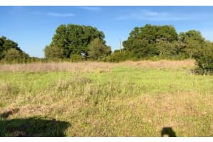 8920 VALERIE COURT, ZEPHYRHILLS, FL 33540 - MLS#MFRTB8426149