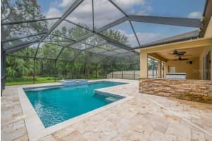 11209 COVENTRY GROVE CIRCLE, LITHIA, FL 33547 - MLS#MFRTB8426151