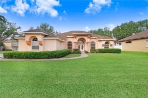 2813 NORWOOD HILLS LANE, VALRICO, FL 33596 - MLS#MFRTB8426186