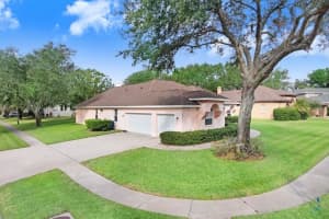 2813 NORWOOD HILLS LANE, VALRICO, FL 33596 - MLS#MFRTB8426186