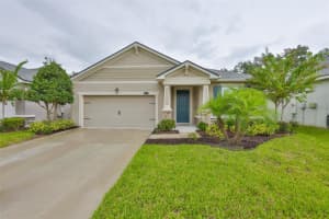 11412 Blue Woods Dr, RIVERVIEW