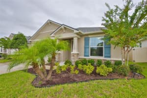 11412 BLUE WOODS DRIVE, RIVERVIEW, FL 33569 - MLS#MFRTB8426197
