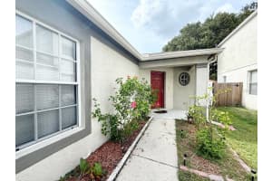 18108 LEMBRECHT WAY, TAMPA, FL 33647 - MLS#MFRTB8426199
