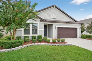 30514 PECAN VALLEY LOOP, WESLEY CHAPEL, FL 33543 Sold 11/14/25