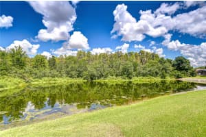 30739 TREMONT DRIVE, WESLEY CHAPEL, FL 33543 Sold 10/06/25