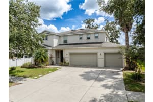 11135 Hartford Fern Dr, RIVERVIEW