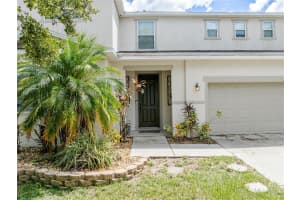 11135 HARTFORD FERN DRIVE, RIVERVIEW, FL 33569 - MLS#MFRTB8426224