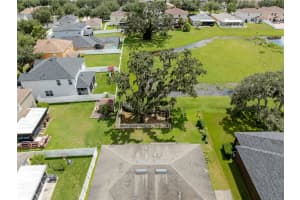 11135 HARTFORD FERN DRIVE, RIVERVIEW, FL 33569 - MLS#MFRTB8426224