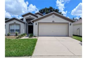 515 Royal Ridge St, VALRICO