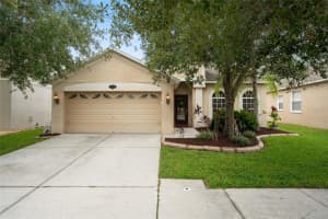 11044 ANCIENT FUTURES DRIVE, TAMPA, FL 33647 - MLS#MFRTB8426231