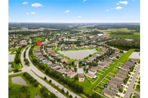 11044 ANCIENT FUTURES DRIVE, TAMPA, FL 33647 - MLS#MFRTB8426231