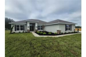 36951 HIDDEN VIEW, DADE CITY, FL 33523 - MLS#MFRTB8426241