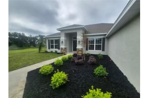 36951 HIDDEN VIEW, DADE CITY, FL 33523 - MLS#MFRTB8426241