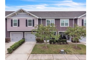 9640 Tocobaga Pl, RIVERVIEW