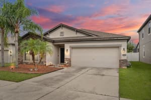 4739 WOODS LANDING LANE, TAMPA, FL 33619 - MLS#MFRTB8426252