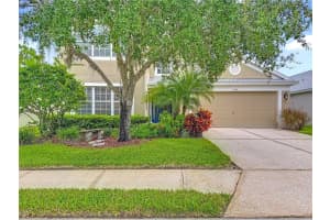 5350 LOOKOUT PASS, WESLEY CHAPEL, FL 33544 - MLS#MFRTB8426263