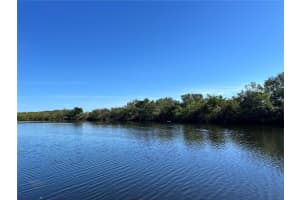 556 Mount Oak Ave Ne #738, ST PETERSBURG