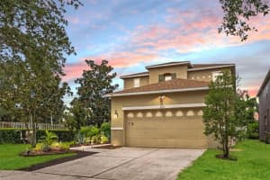 6208 Cherry Blossom Trl, GIBSONTON