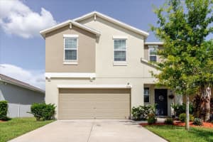 17156 Yellow Pine St, WIMAUMA