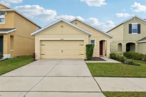 10229 MANGROVE WELL ROAD, SUN CITY CENTER, FL 33573 - MLS#MFRTB8426355