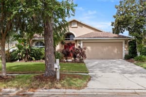 17504 Woodthrush Pl, TAMPA