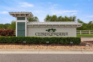 10417 HERON HIDEAWAY LOOP, LAND O LAKES, FL 34638 - MLS#MFRTB8426410