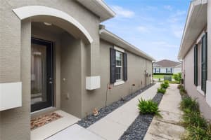 10417 HERON HIDEAWAY LOOP, LAND O LAKES, FL 34638 - MLS#MFRTB8426410