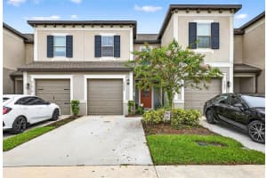 31923 Blue Passing Loop, WESLEY CHAPEL