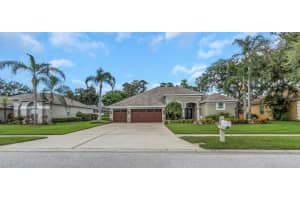 1402 WYNDHAM LAKES DRIVE, ODESSA, FL 33556 - MLS#MFRTB8426420