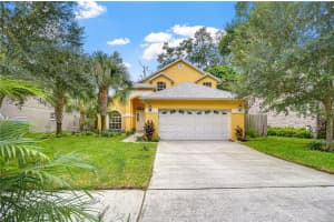 1308 W Carissa Ct, TAMPA
