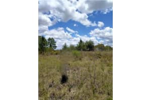 1264 MCCOY ROAD, AVON PARK, FL 33825 - MLS#MFRTB8426450