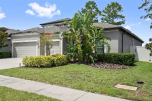 18565 OBREGAN DRIVE, SPRING HILL, FL 34610 - MLS#MFRTB8426458