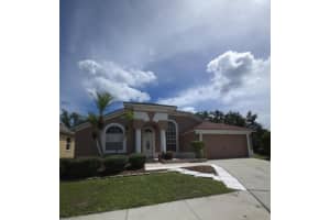 18005 PALM BREEZE DRIVE, TAMPA, FL 33647 - MLS#MFRTB8426478