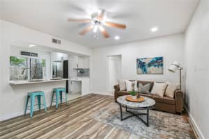 7242 OELSNER STREET, NEW PORT RICHEY, FL 34652 - MLS#MFRTB8426484