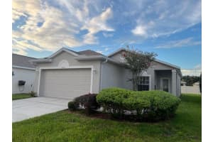2900 BANYAN HILL LANE, LAND O LAKES, FL 34639 - MLS#MFRTB8426515