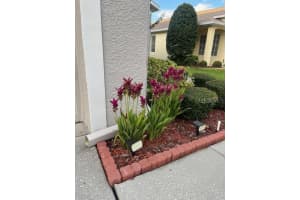 2900 BANYAN HILL LANE, LAND O LAKES, FL 34639 - MLS#MFRTB8426515