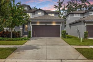 274 VILLA LUNA LANE, LUTZ, FL 33549 - MLS#MFRTB8426523