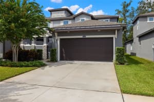 274 VILLA LUNA LANE, LUTZ, FL 33549 - MLS#MFRTB8426523