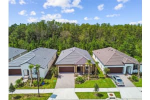 9727 MINNOW RAY DRIVE, LAND O LAKES, FL 34638 - MLS#MFRTB8426529