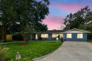 1402 BOGIE DRIVE, TAMPA, FL 33612 - MLS#MFRTB8426537