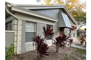 11717 RAINTREE DRIVE, TAMPA, FL 33617 - MLS#MFRTB8426555