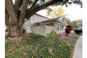 11717 RAINTREE DRIVE, TAMPA, FL 33617 - MLS#MFRTB8426555
