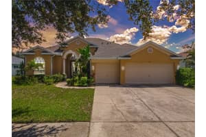 1923 RUTHERFORD DRIVE, DOVER, FL 33527 - MLS#MFRTB8426563
