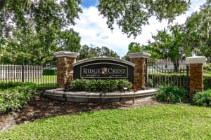 1923 RUTHERFORD DRIVE, DOVER, FL 33527 - MLS#MFRTB8426563