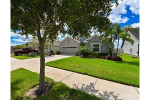 8151 OLIVE BROOK DRIVE, WESLEY CHAPEL, FL 33545 - MLS#MFRTB8426577