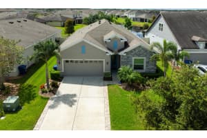 8151 OLIVE BROOK DRIVE, WESLEY CHAPEL, FL 33545 - MLS#MFRTB8426577