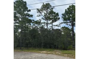 SCOOBY RD, BROOKSVILLE, FL 34604 - MLS#MFRTB8426588